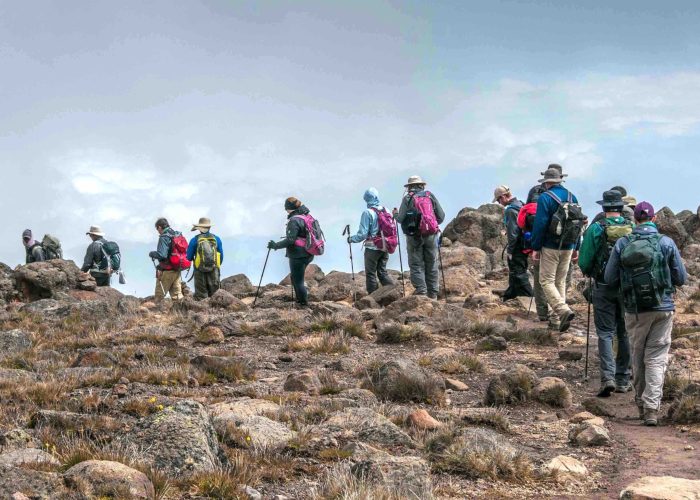 A group trekking on Kilimanjaro