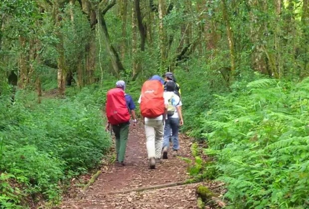 marangu kilimanjaro