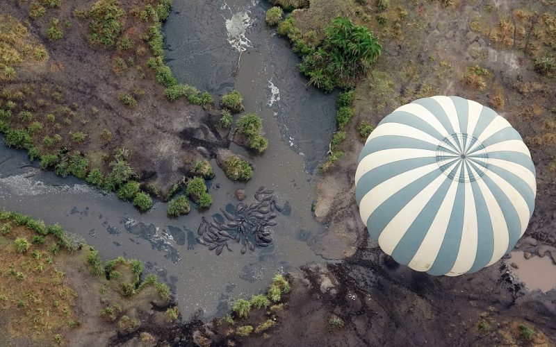 serengeti ballons